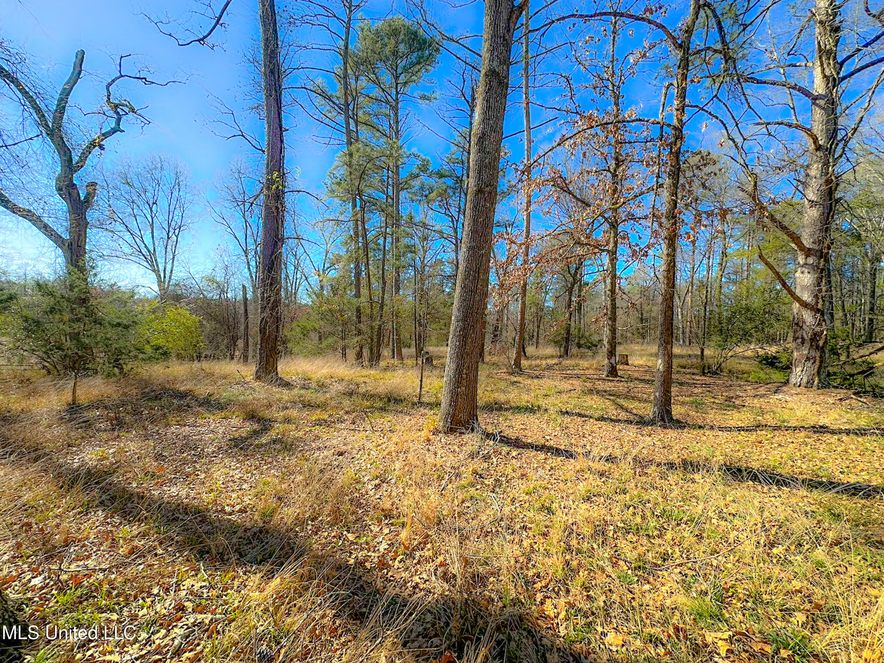 Hill Road Madison, MS 39110 - Photo 6 of 13 IMG_2548