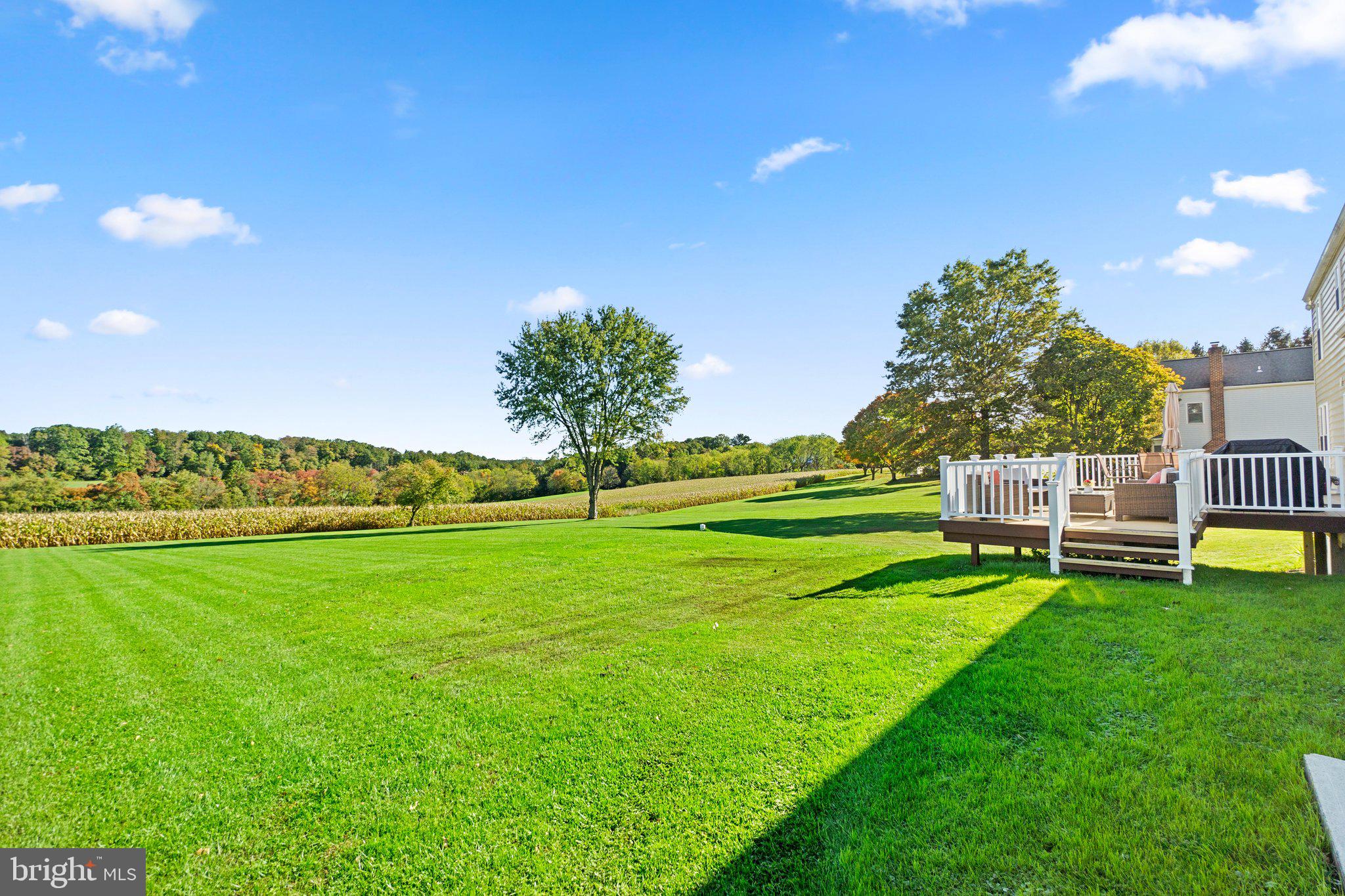 650 Streaker Road Sykesville, MD 21784 - Photo 48 of 51 Gallery Image 48