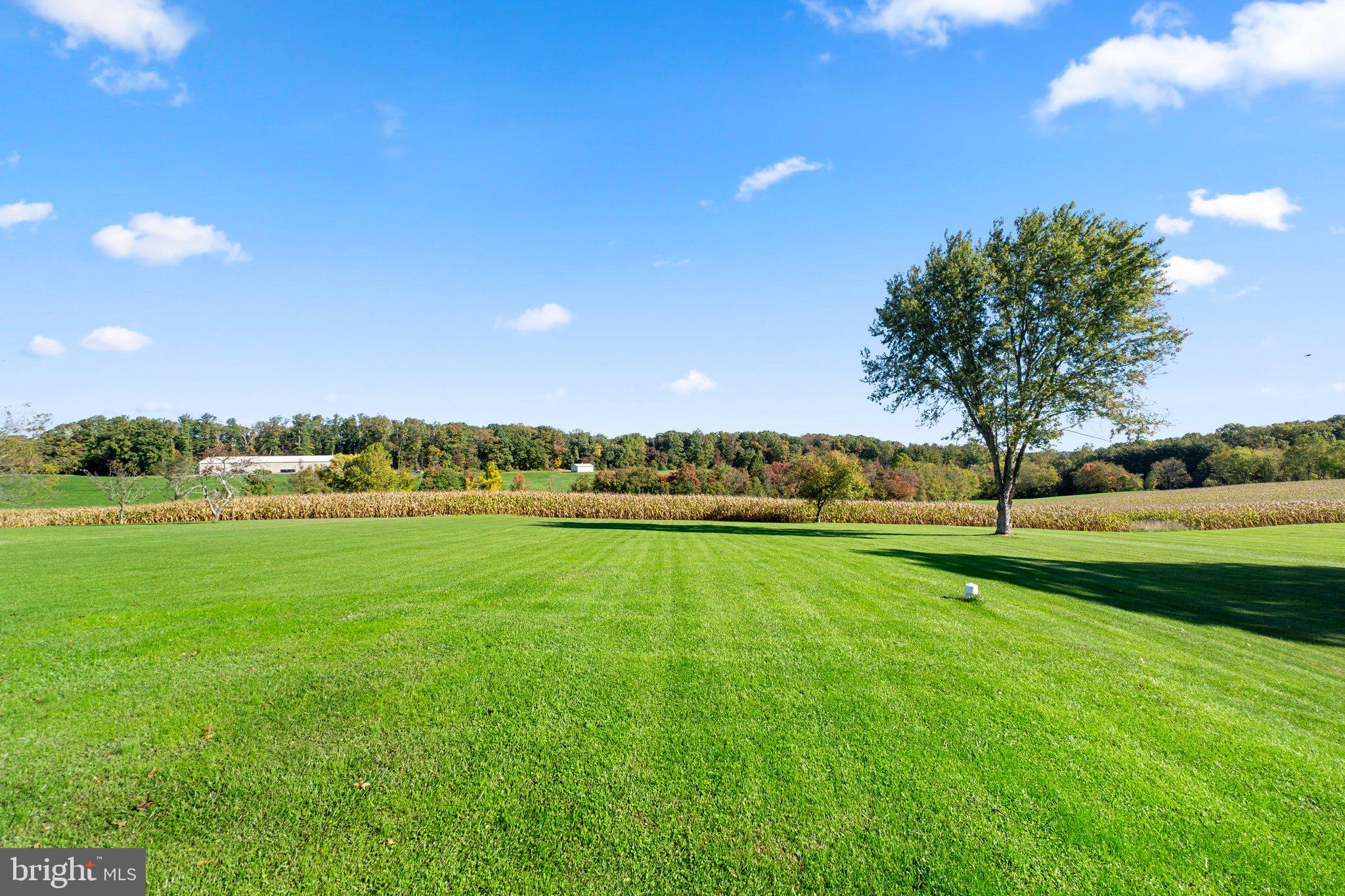 650 Streaker Road Sykesville, MD 21784 - Photo 50 of 51 Gallery Image 50