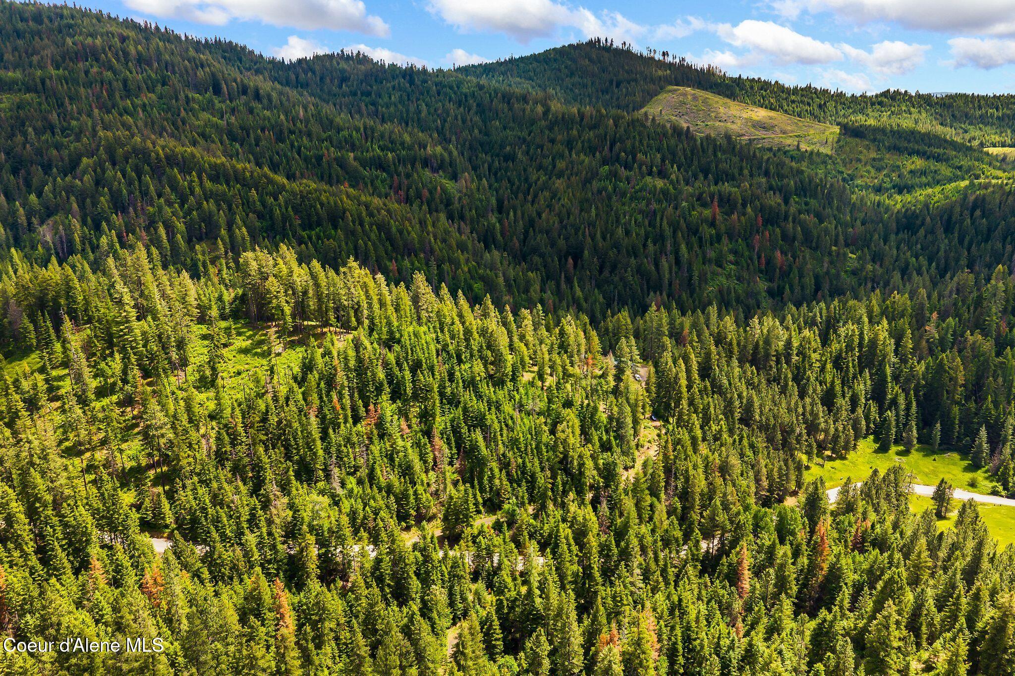4304 South Elk Road Harrison, ID 83833 - Photo 34 of 39 41_DJI_20260604134648_0312_D