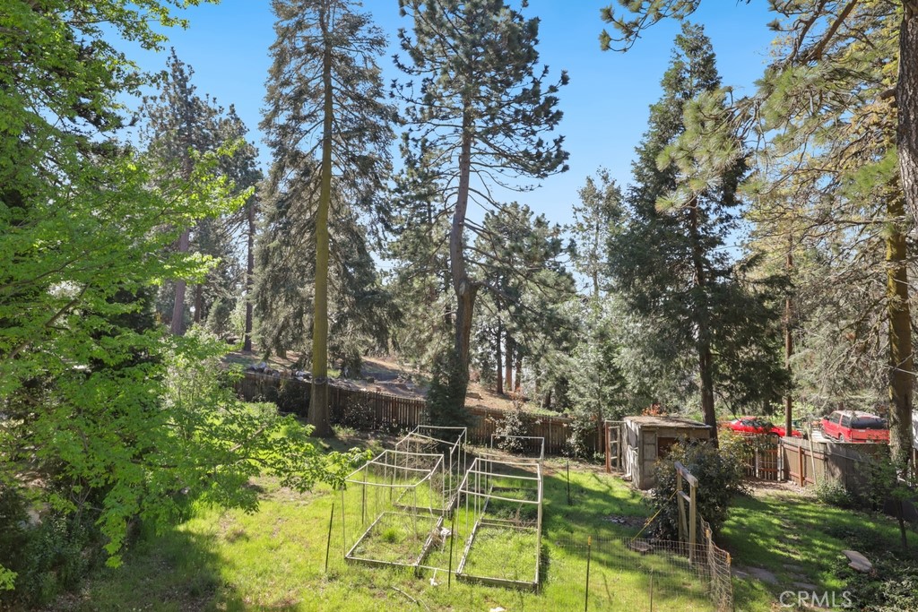 21645 Job Peaks Road Cedarpines Park, CA 92322 - Photo 51 of 63