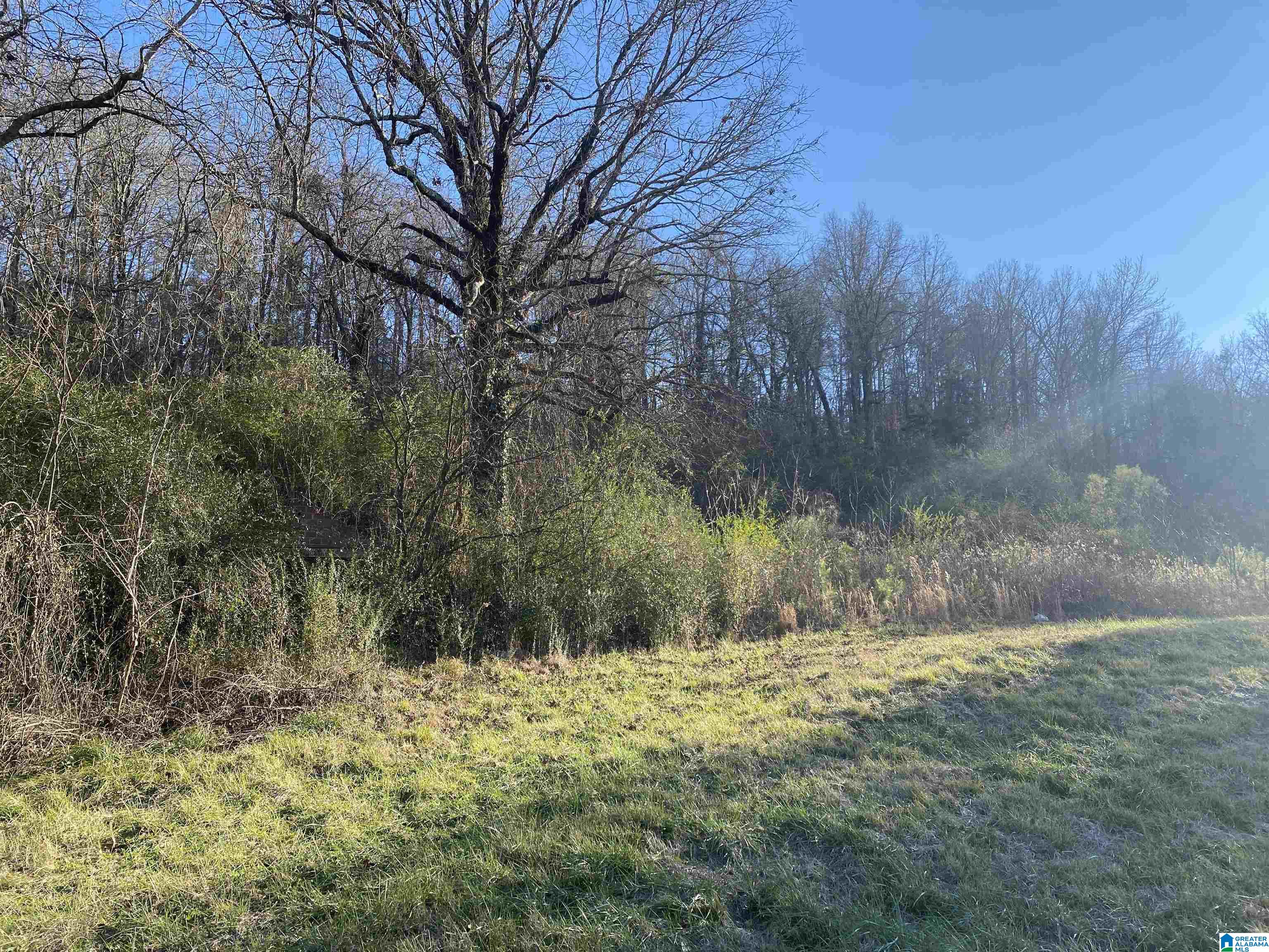 0 Highway 144 Ragland, AL 35131 - Photo 3 of 4