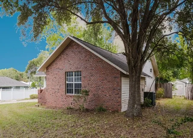 a backyard of a house with plants and large tree