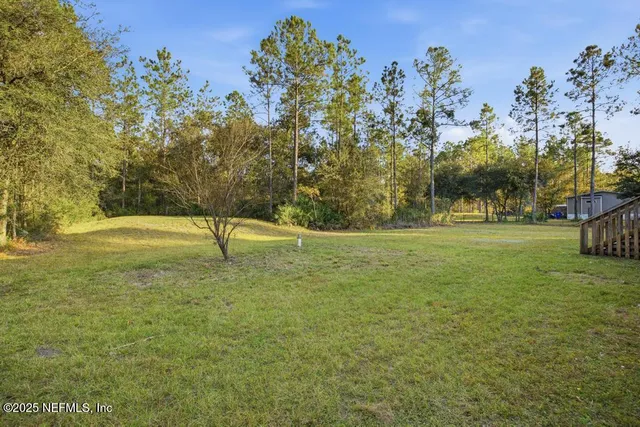 a view of a field with trees