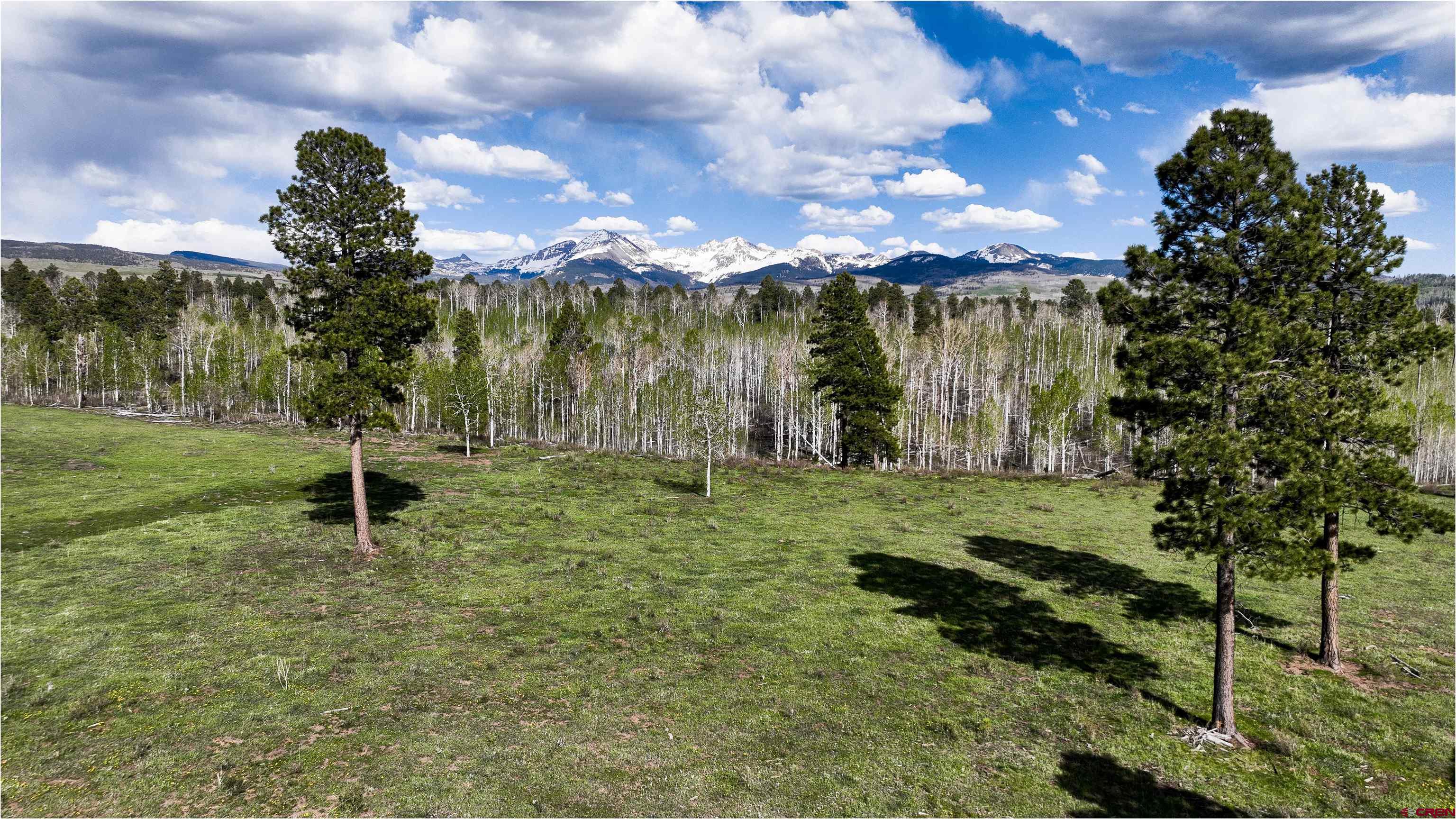 44500 Ditches Road Mancos, CO 81328 - Photo 15 of 31 Gallery Image 15