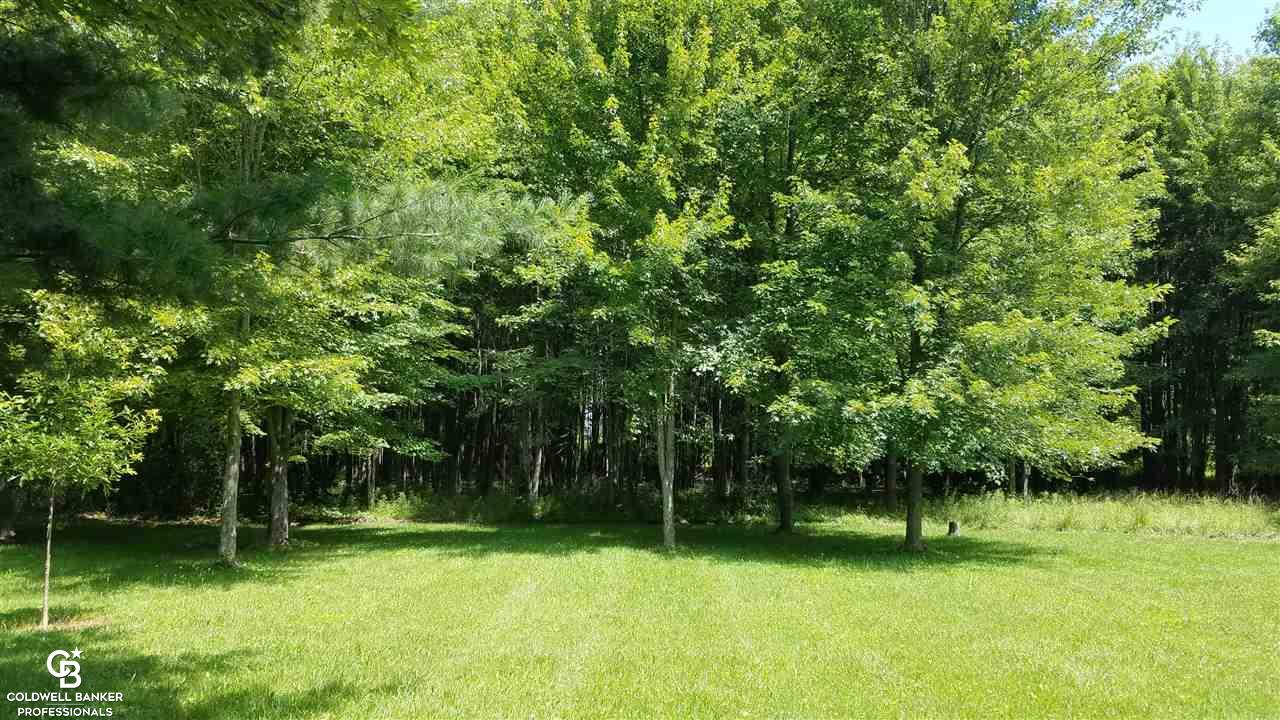 9475 Brandon Road Avoca, MI 48006 - Photo 33 of 44 This is another view of the backyard.