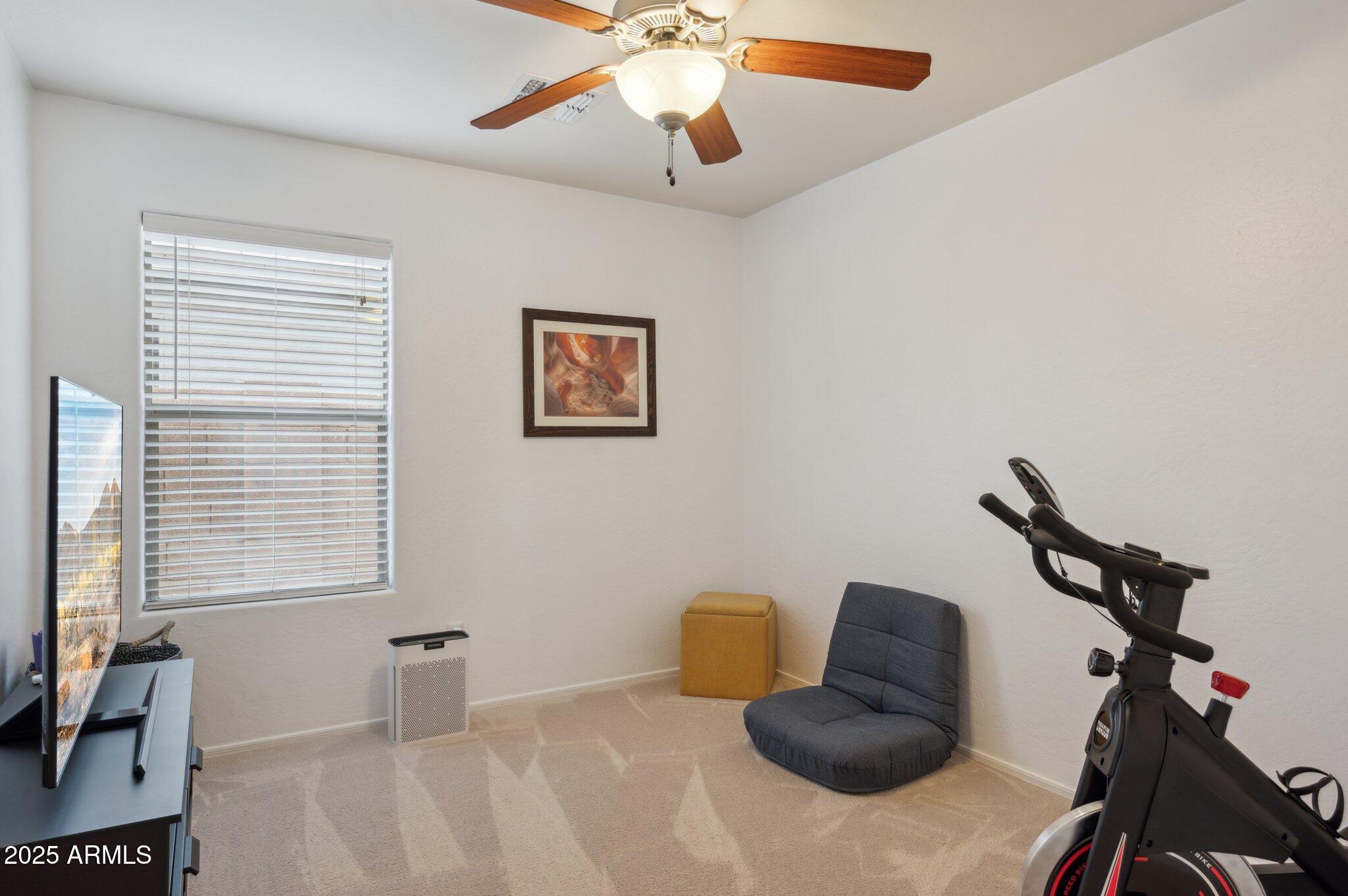 411 West Gascon Road San Tan Valley, AZ 85143 - Photo 20 of 30 a bedroom with furniture and a window