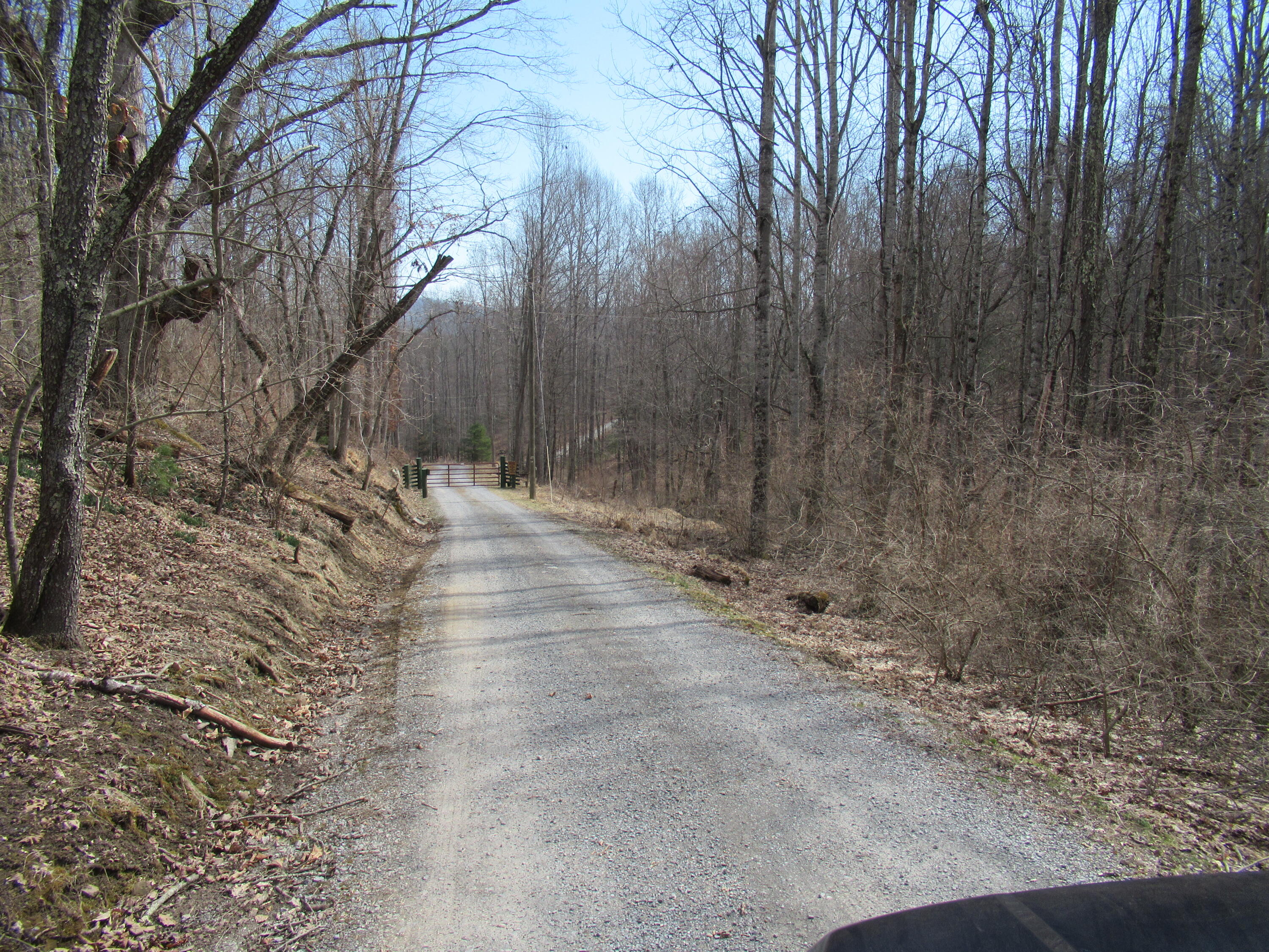 Lot 1 Spice Run Road Hillsboro, WV 24946 - Photo 3 of 13 Gallery Image 3