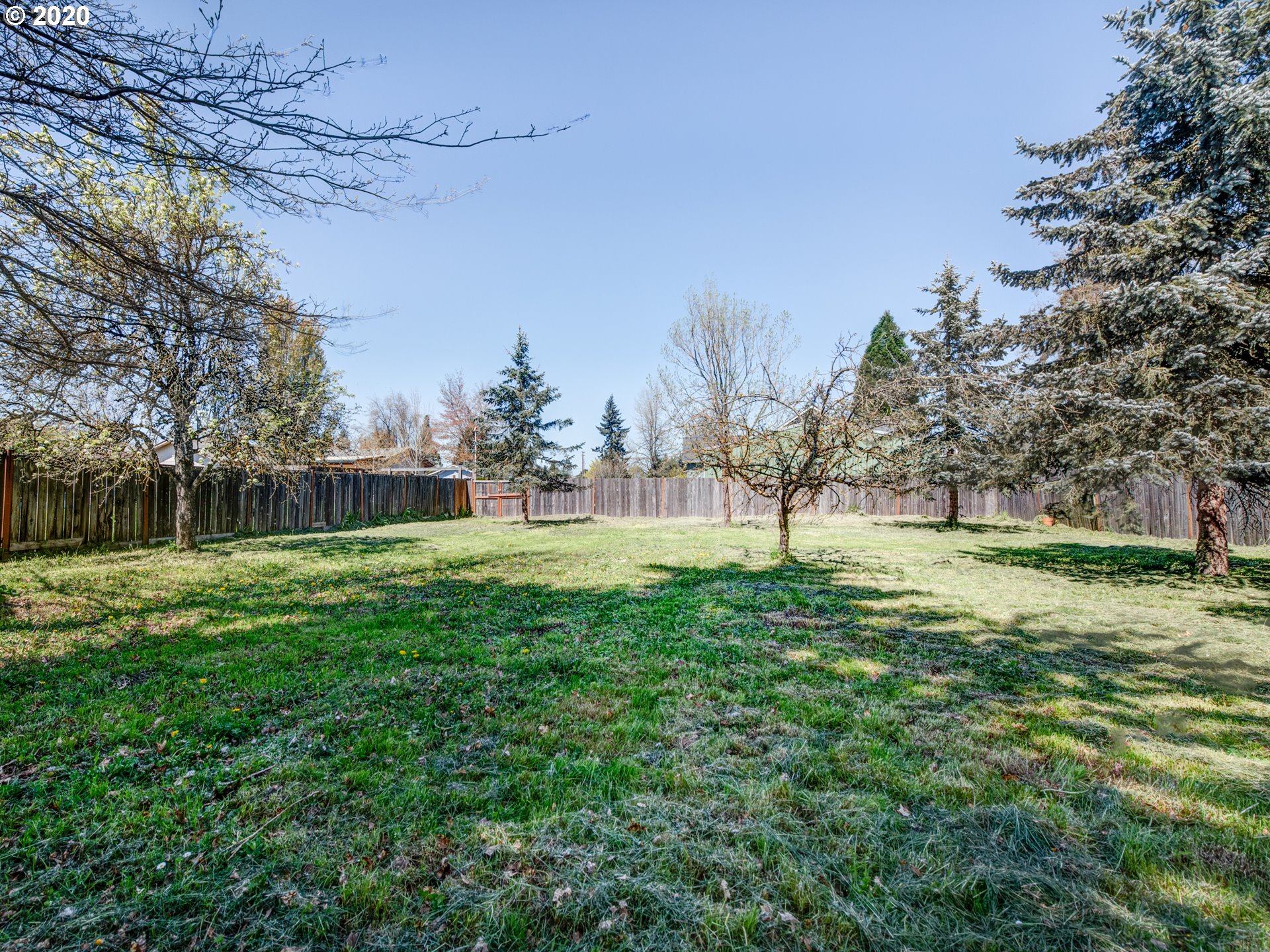 790 West N Street Springfield, OR 97477 - Photo 3 of 28