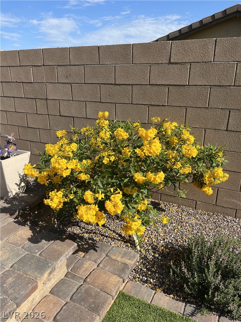 498 Pebble Run Avenue Henderson, NV 89011 - Photo 30 of 47 Lush landscaping thrives against a solid block wall, enhancing the outdoor living space.