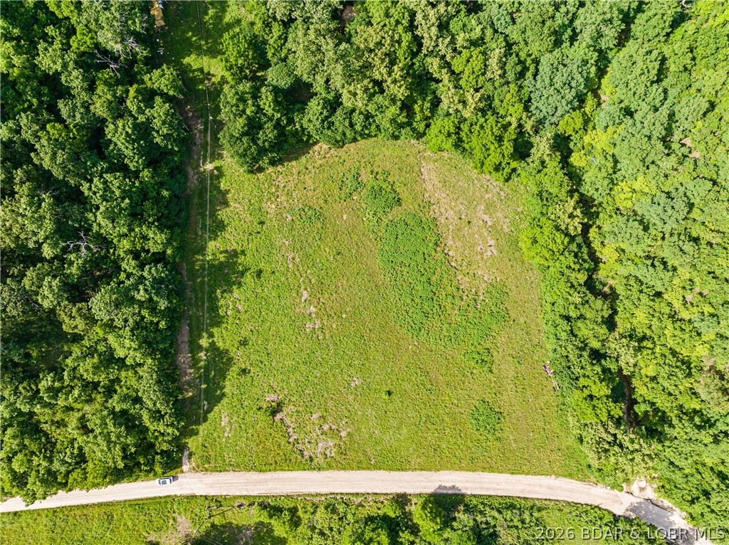 Broads Branch Road Macks Creek, MO 65786 - Photo 5 of 13 Aerial view