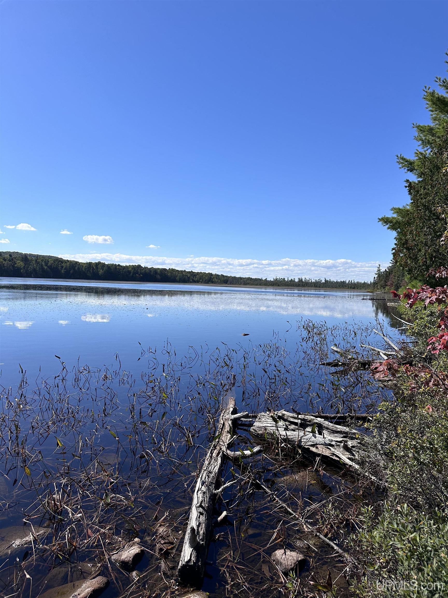 Tbd Tbd Howe Lake Road Deerton, MI 49822 - Photo 40 of 48