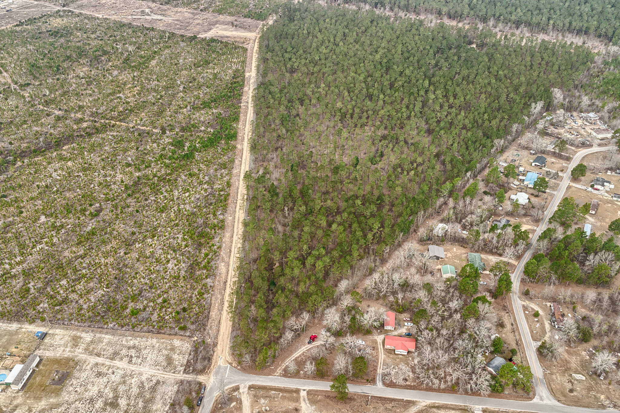 0 Otis Baughman Sr Road Wagener, SC 29164 - Photo 3 of 11