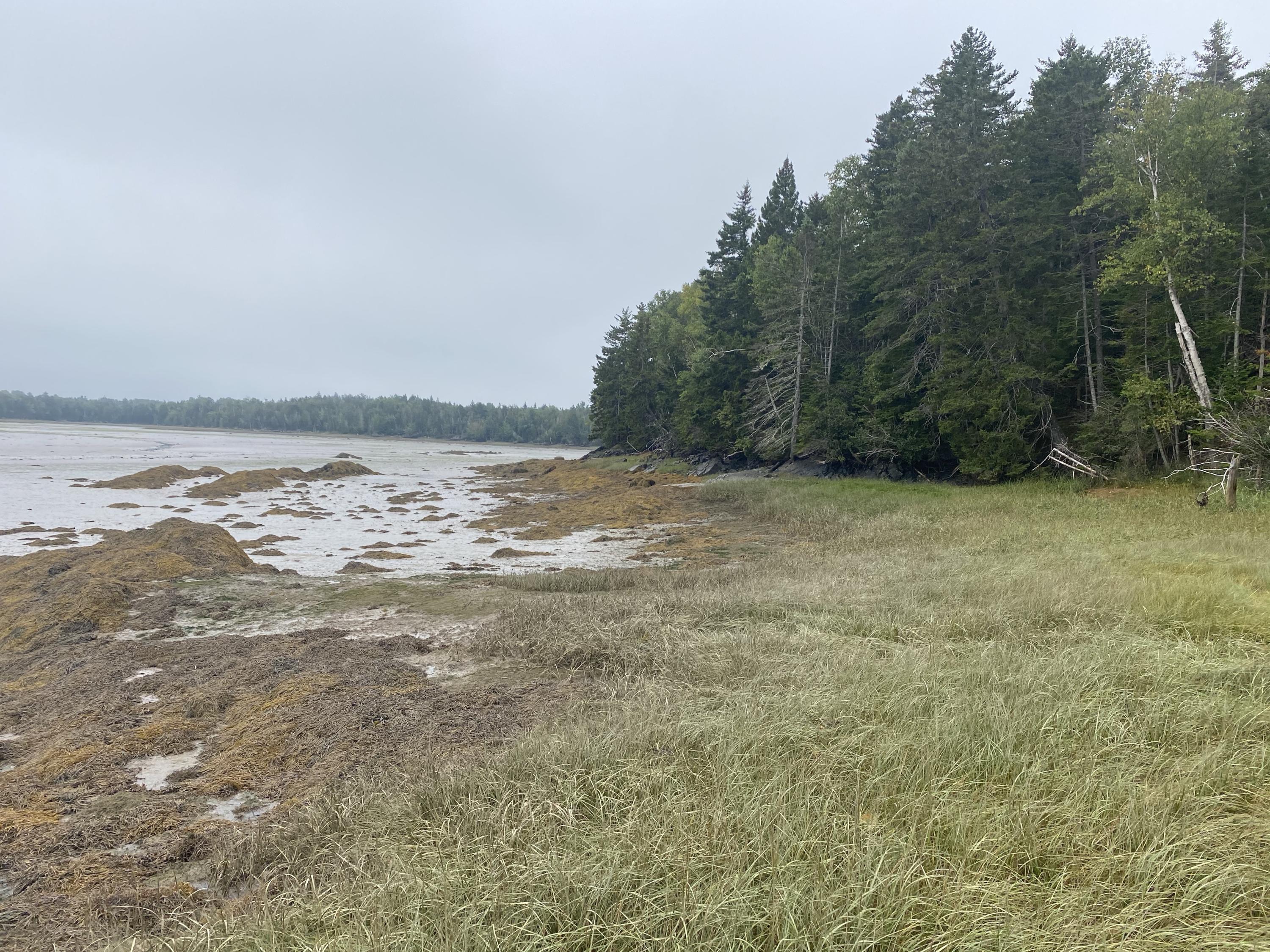 Tbd Lyons Road Lubec, ME 04652 - Photo 14 of 23 A2H3EHMaT9a9CzCxFhKLCw