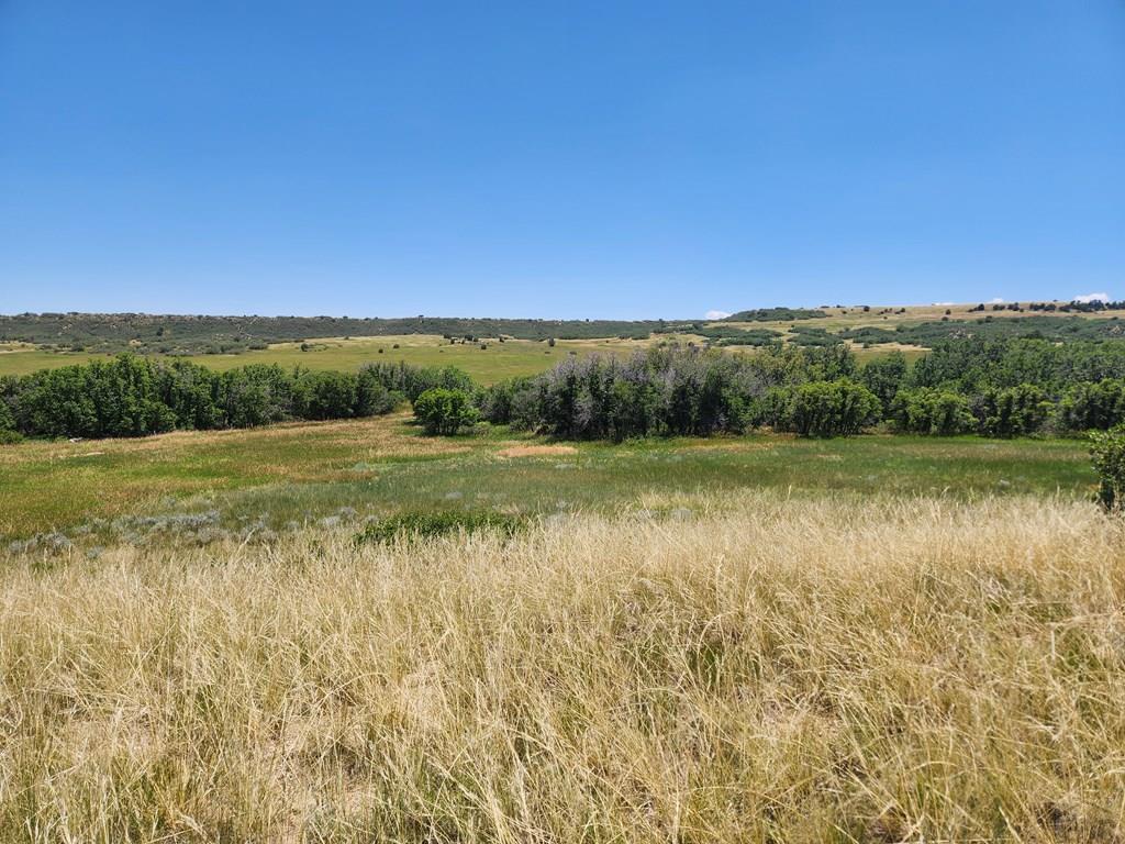 Tbd Rock View Boulevard Rye, CO 81069 - Photo 8 of 13