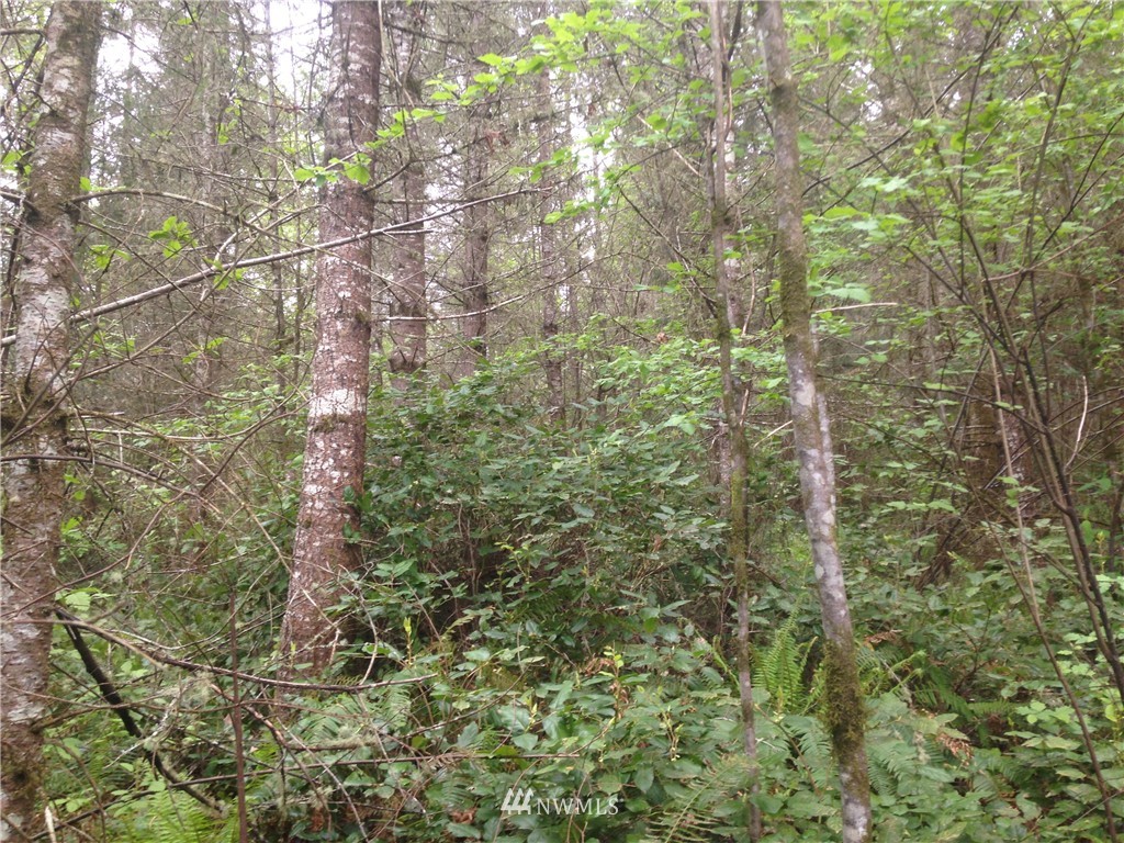 10482 Center Road Quilcene, WA 98376 - Photo 3 of 5