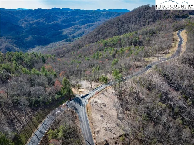 a view of a mountain with a forest