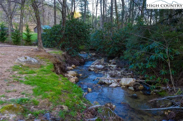 a picture of trees with lots of plants and trees