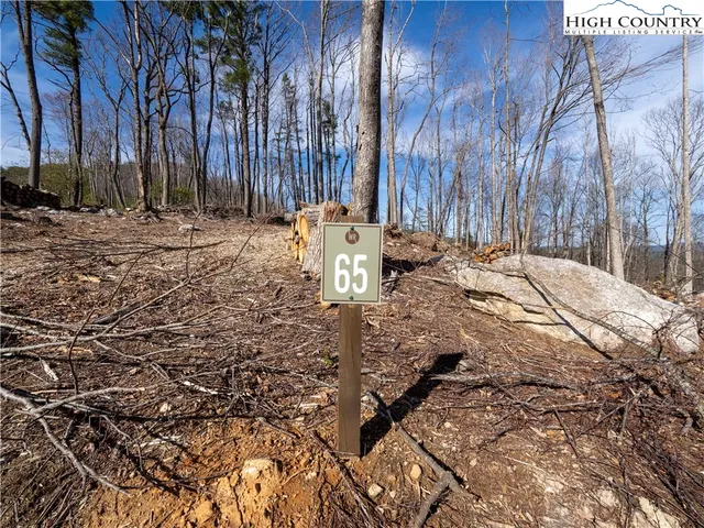 a view of a backyard with large trees