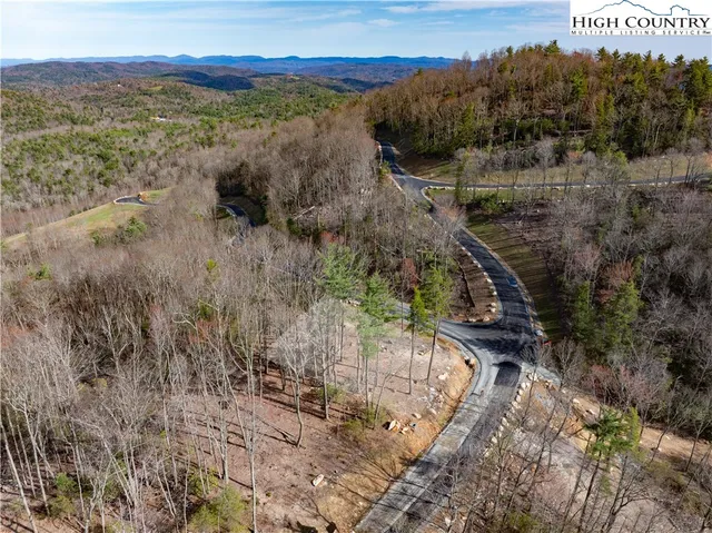 a view of a forest with a forest