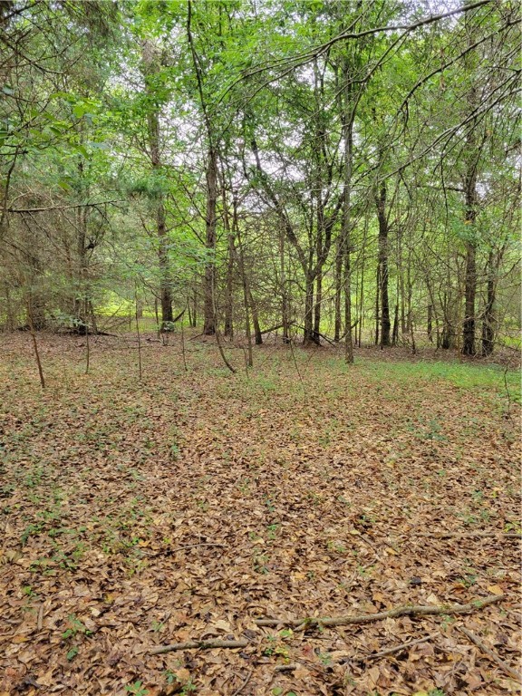 12051 North Radio Station Road Seneca, SC 29678 - Photo 14 of 16