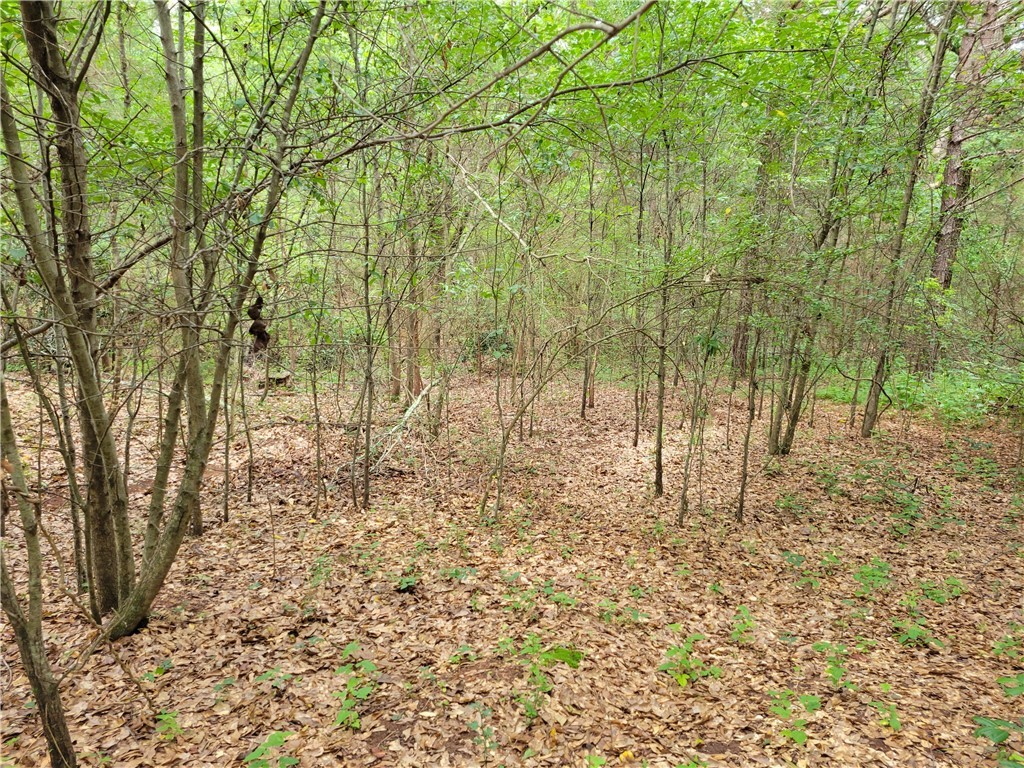 12051 North Radio Station Road Seneca, SC 29678 - Photo 15 of 16