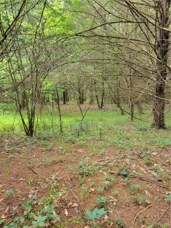 12051 North Radio Station Road Seneca, SC 29678 - Photo 16 of 16