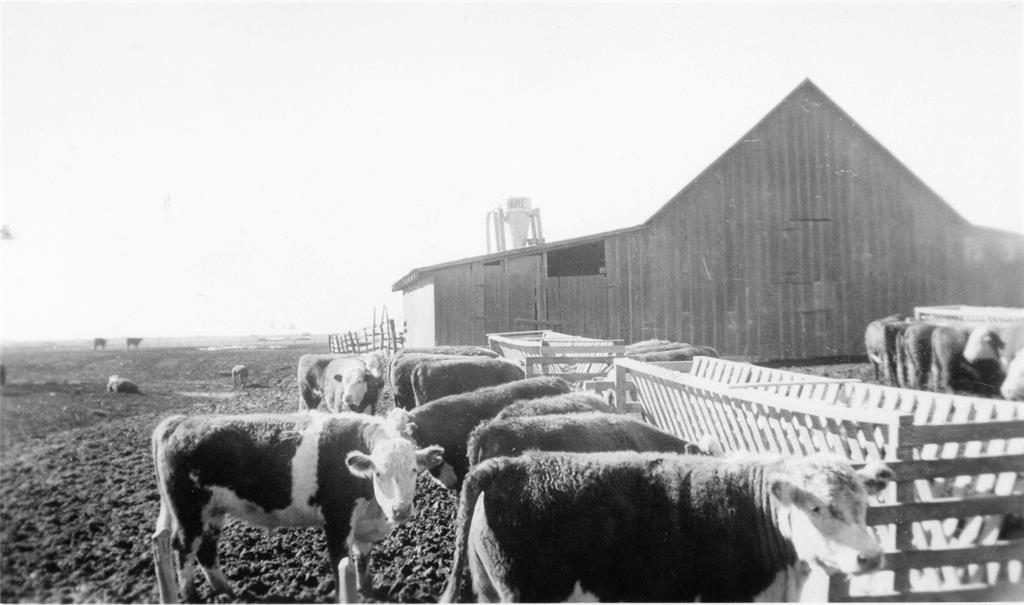 7090 Maple Street Frisco, TX 75033 - Photo 38 of 40 photo pf existing barn in early 1900s