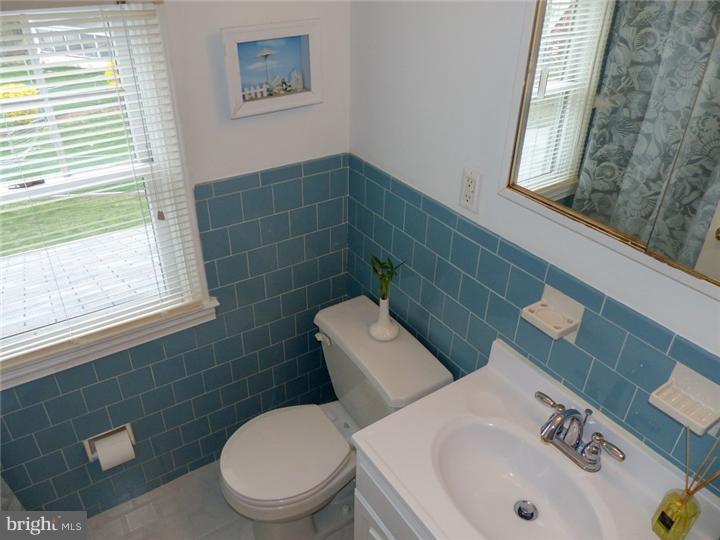 222 Overlook Road Ambler, PA 19002 - Photo 10 of 25 Bathroom