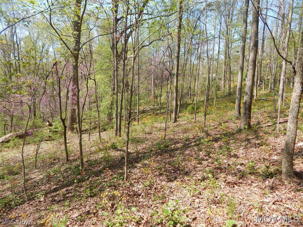 0 Hulderman Ridge Harrisville, WV 26362 - Photo 12 of 18 Gallery Image 12