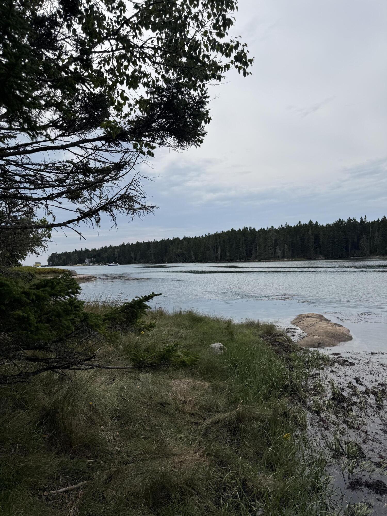Lot 5 Tom Leighton Point Road Milbridge, ME 04658 - Photo 20 of 22 IMG_5848