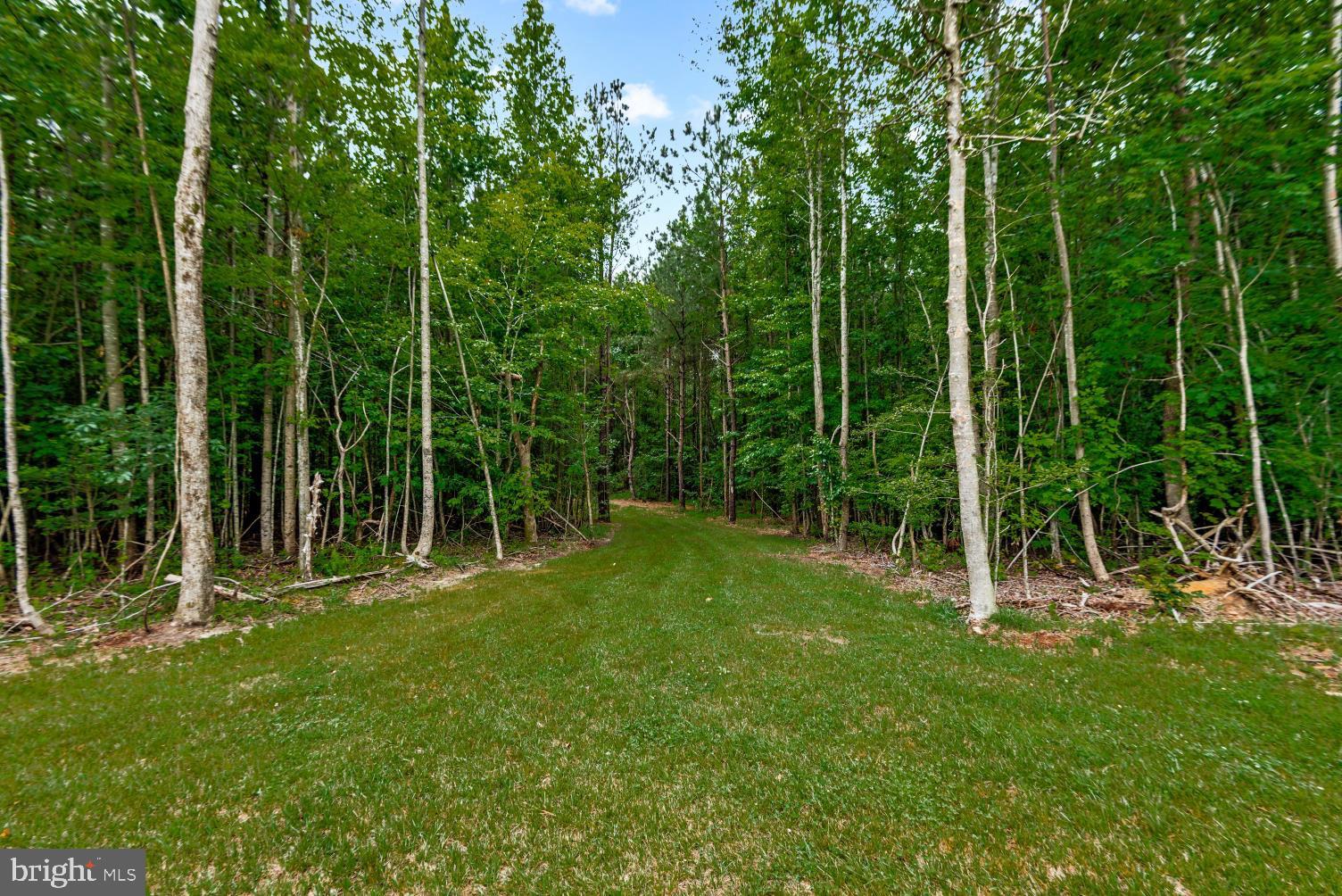568 Reed Bridge Farm Road Bruington, VA 23023 - Photo 23 of 37
