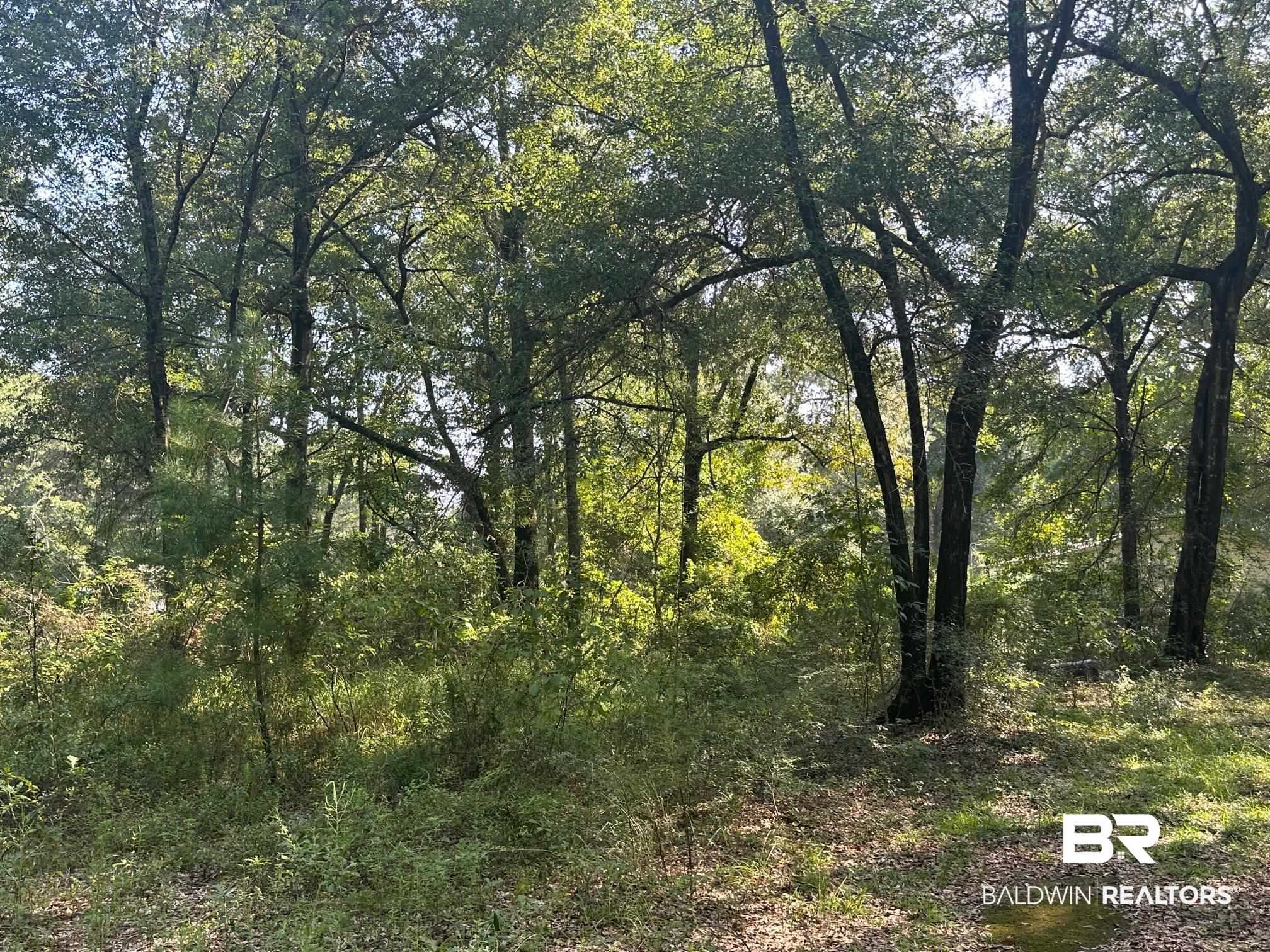0 Danner Road East Wilmer, AL 36587 - Photo 7 of 13 View of tree filled area