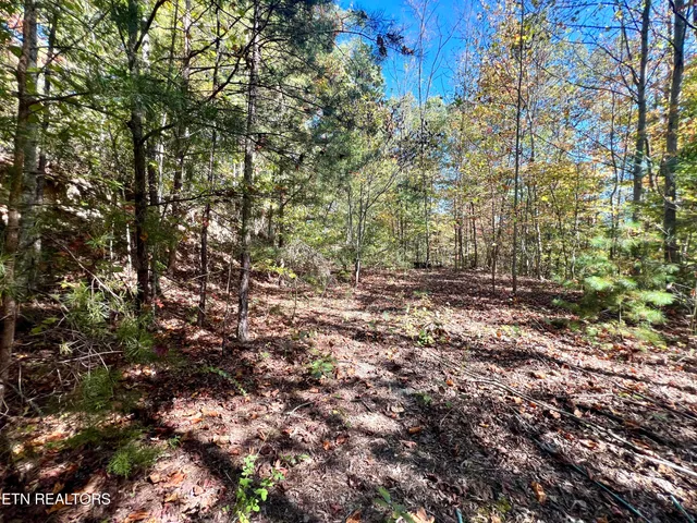 $50,000 | 1844 Creek Hollow Way, Sevierville, TN 37876