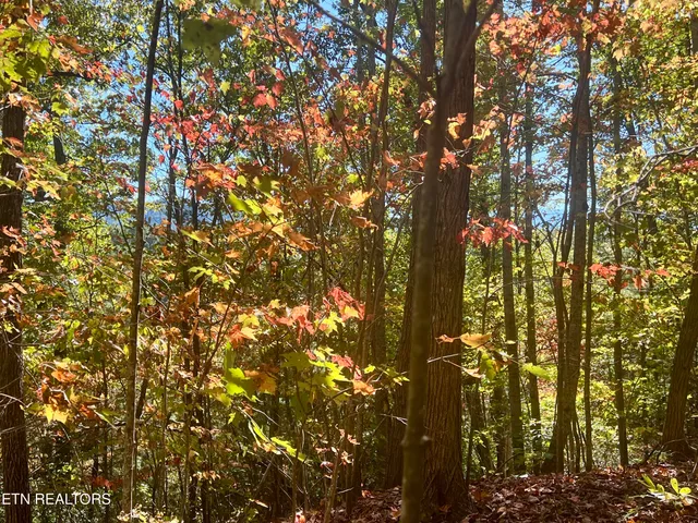 $50,000 | 1844 Creek Hollow Way, Sevierville, TN 37876