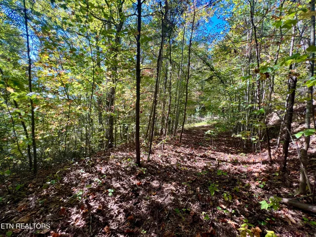 $50,000 | 1844 Creek Hollow Way, Sevierville, TN 37876