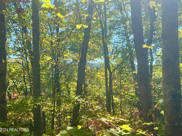 $50,000 | 1844 Creek Hollow Way, Sevierville, TN 37876