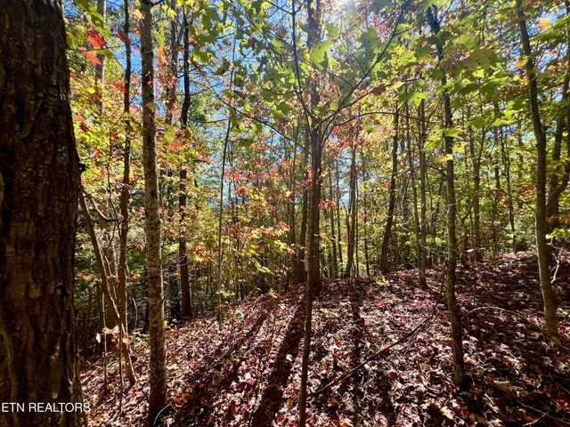 $50,000 | 1844 Creek Hollow Way, Sevierville, TN 37876