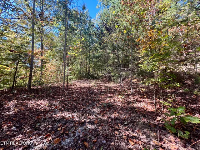 $50,000 | 1844 Creek Hollow Way, Sevierville, TN 37876