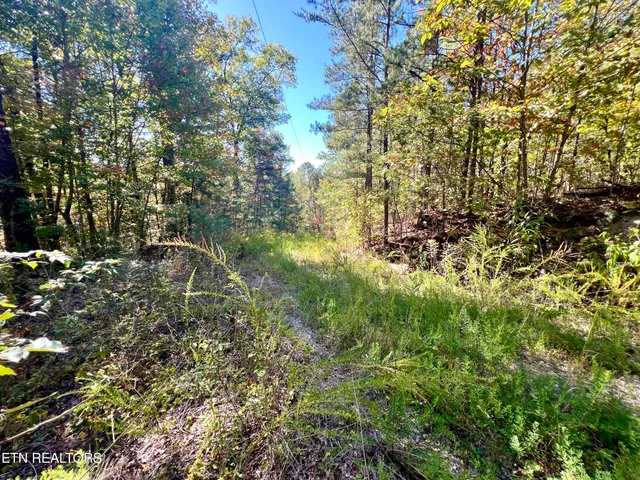 $50,000 | 1844 Creek Hollow Way, Sevierville, TN 37876