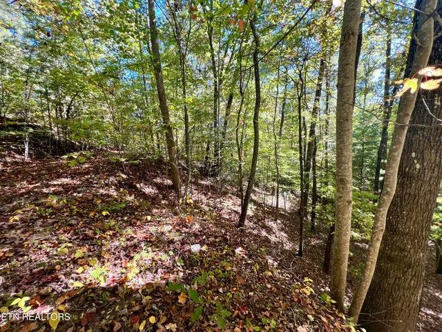 $50,000 | 1844 Creek Hollow Way, Sevierville, TN 37876