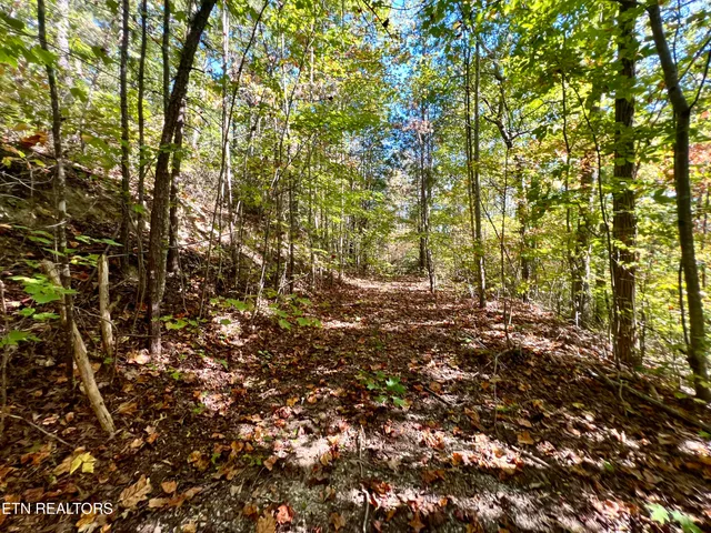 $50,000 | 1844 Creek Hollow Way, Sevierville, TN 37876