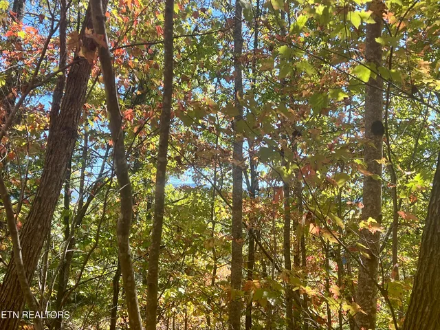 $50,000 | 1844 Creek Hollow Way, Sevierville, TN 37876