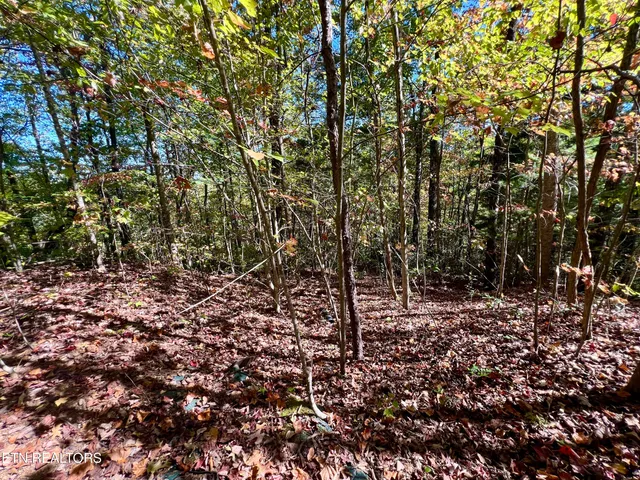 $50,000 | 1844 Creek Hollow Way, Sevierville, TN 37876