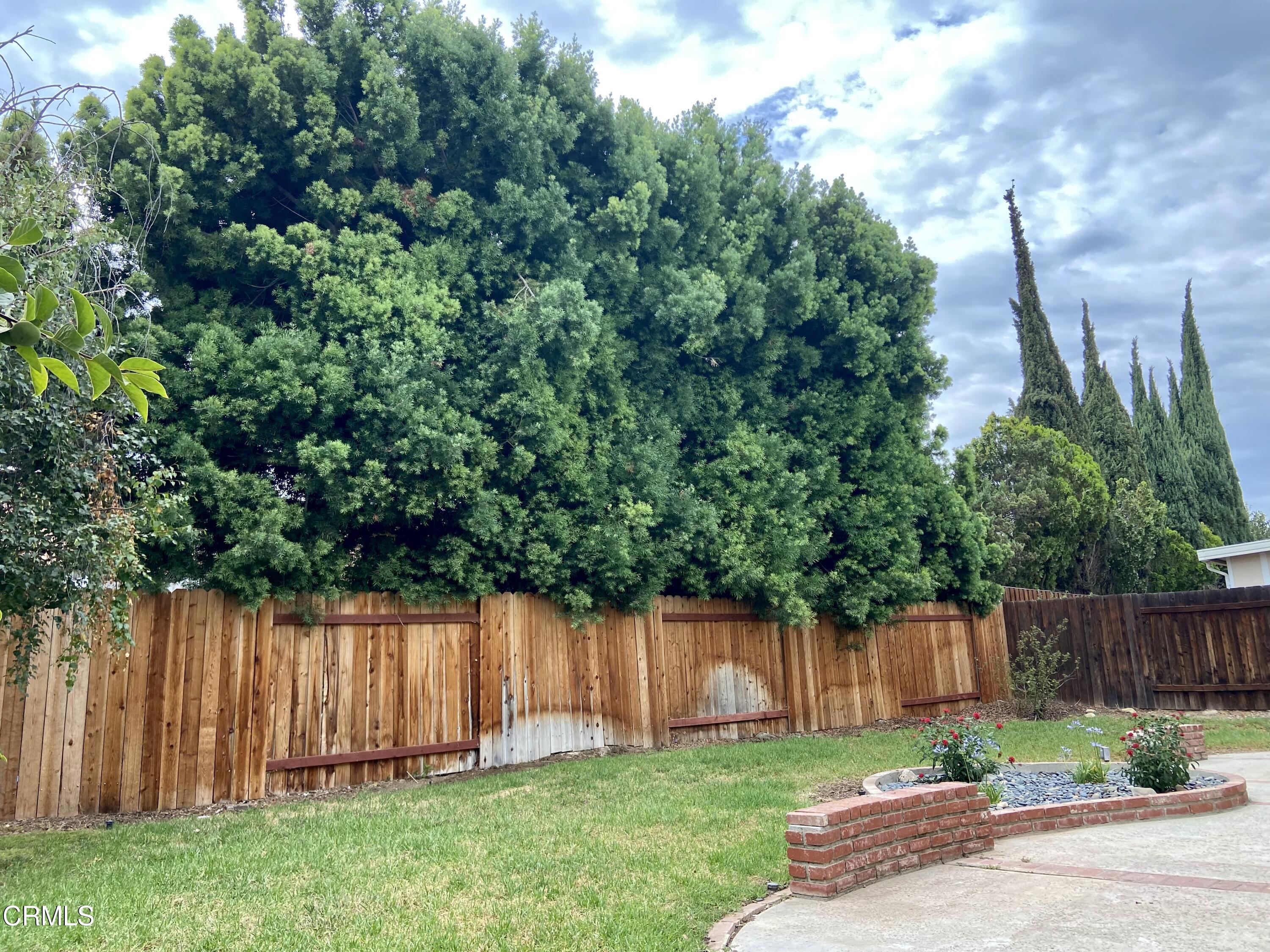 4465 Pine Ridge Court Moorpark, CA 93021 - Photo 21 of 22 a view of a backyard with large trees and wooden fence