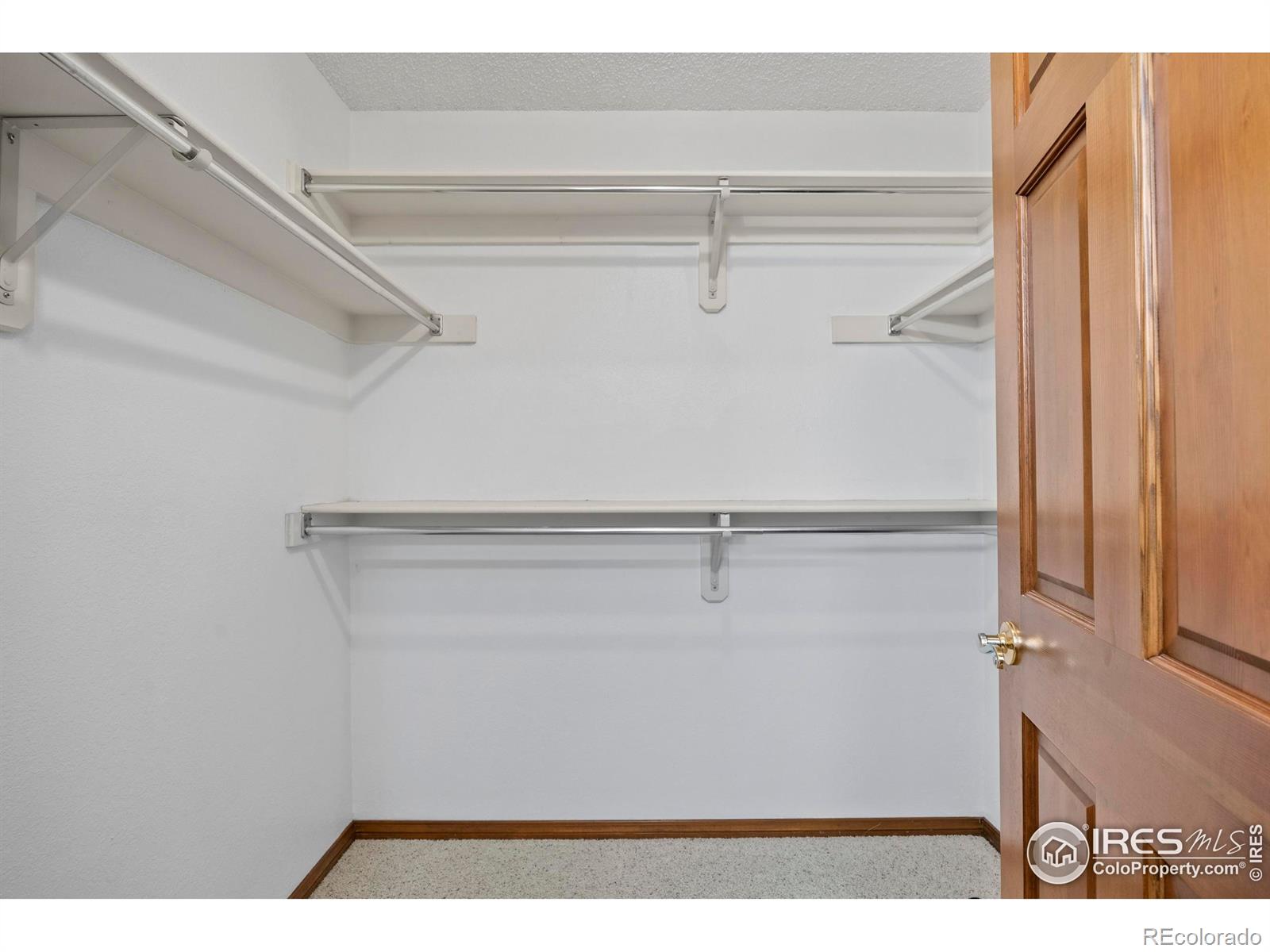 903 Conifer Court Windsor, CO 80550 - Photo 25 of 33 a view of closet