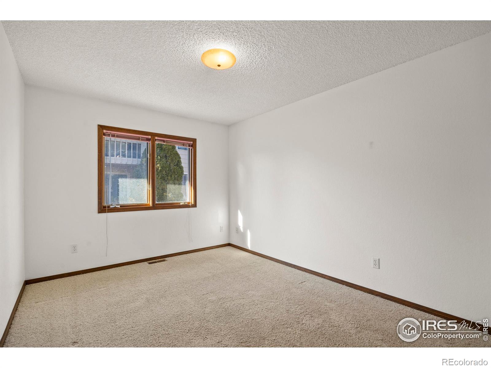 903 Conifer Court Windsor, CO 80550 - Photo 27 of 33 a view of an empty room