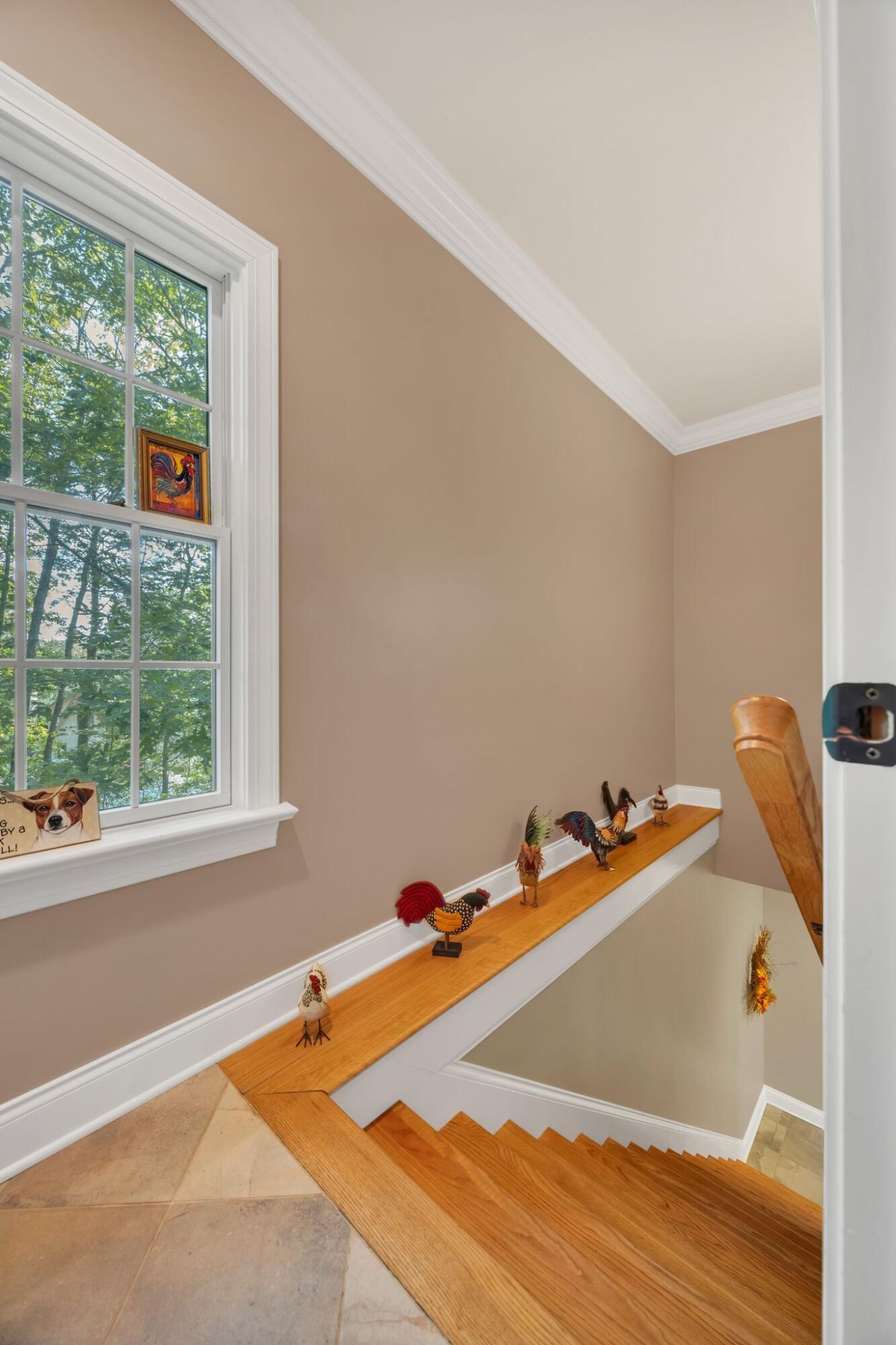 717 Rushing Water Trail Rising Fawn, GA 30738 - Photo 45 of 57 rp2509091-1046