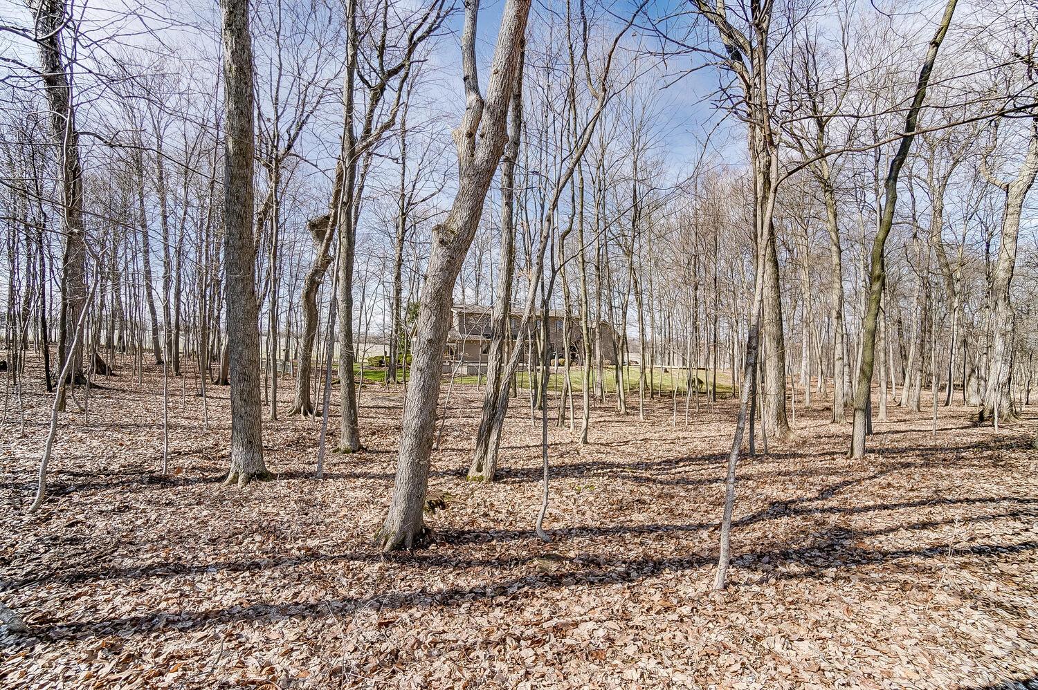 5110 Stringtown Road Northeast Baltimore, OH 43105 - Photo 86 of 90 50033558-086_web