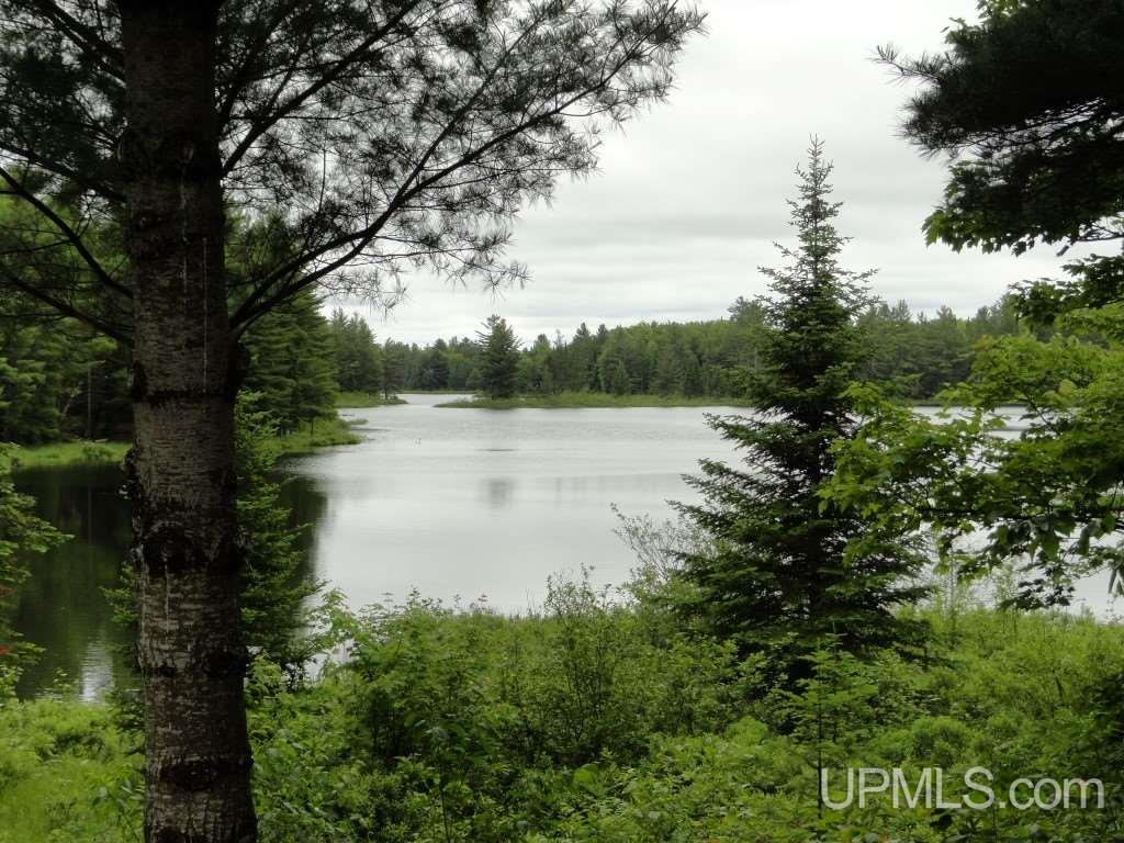 Tbd Wardles Way, Unit 1 Shingleton, MI 49884 - Photo 10 of 19